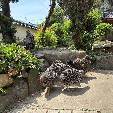 Osaka Nose Farmer'S Guest House　Yasuda Farm Eksteriør bilde